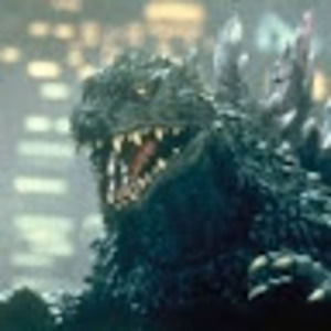 Meet your Posher, Wesley